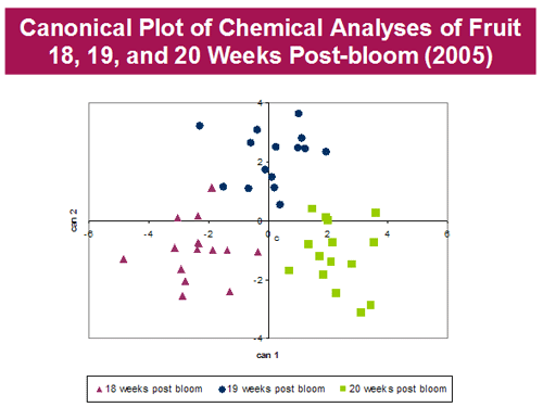 Canonical Plot of Chemical Analyses of Fruit 18,19 and 20 Weeks Post-bloom (2005)