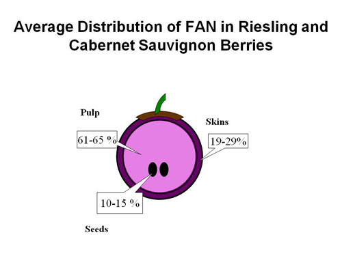 Figure 1 - Average Distribution of FAN in 