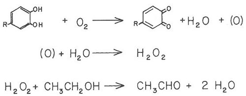 Wine oxidation involving a phenol to produce quinone and hydrogen peroxide