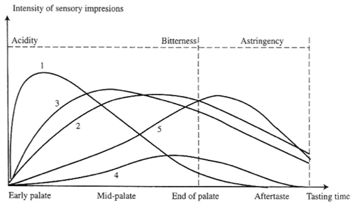 Figure 1. Impact of flavonoid polymerization on sensory attributes.  (Jackson 2002 adapted from Glories 1981)