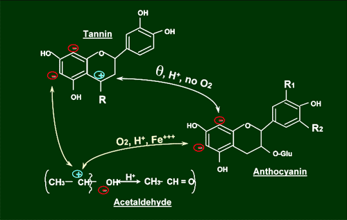 Figure 3. Production of acetaldehyde through oxidative polymerization.