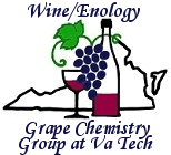 Wine/Enology-Grape Chemistry Group at Virginia Tech