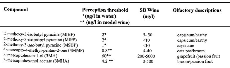 Table 1. Threshold, concentrations and olfactory descriptions of methoxypyrazines and volatile thiols in Sauvignon blanc wine
