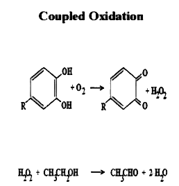 Figure 2: Coupled Oxidation