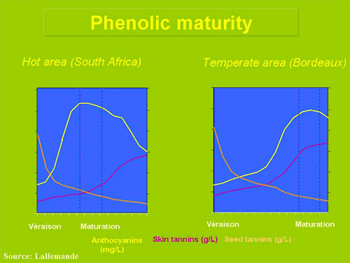 Phenolic maturity in two different climates